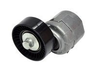 96BF-6A228-AB 1004549 1E0315980 INA 534 0125 30 Febi 19553 FORD Tensioner Pulley