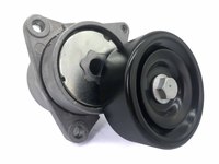 11955-6N20B &nbsp;118556N20C 11955JA00A 11955JA00B Dayco APV3023 Nisaan X-TRAIL(T30) Idler Pulley
